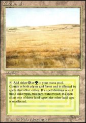 Land - Savannah